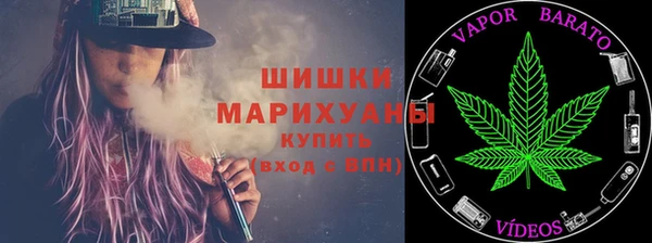 герыч Долгопрудный