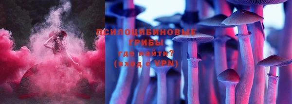 герыч Долгопрудный