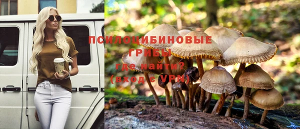 винт Михайловка